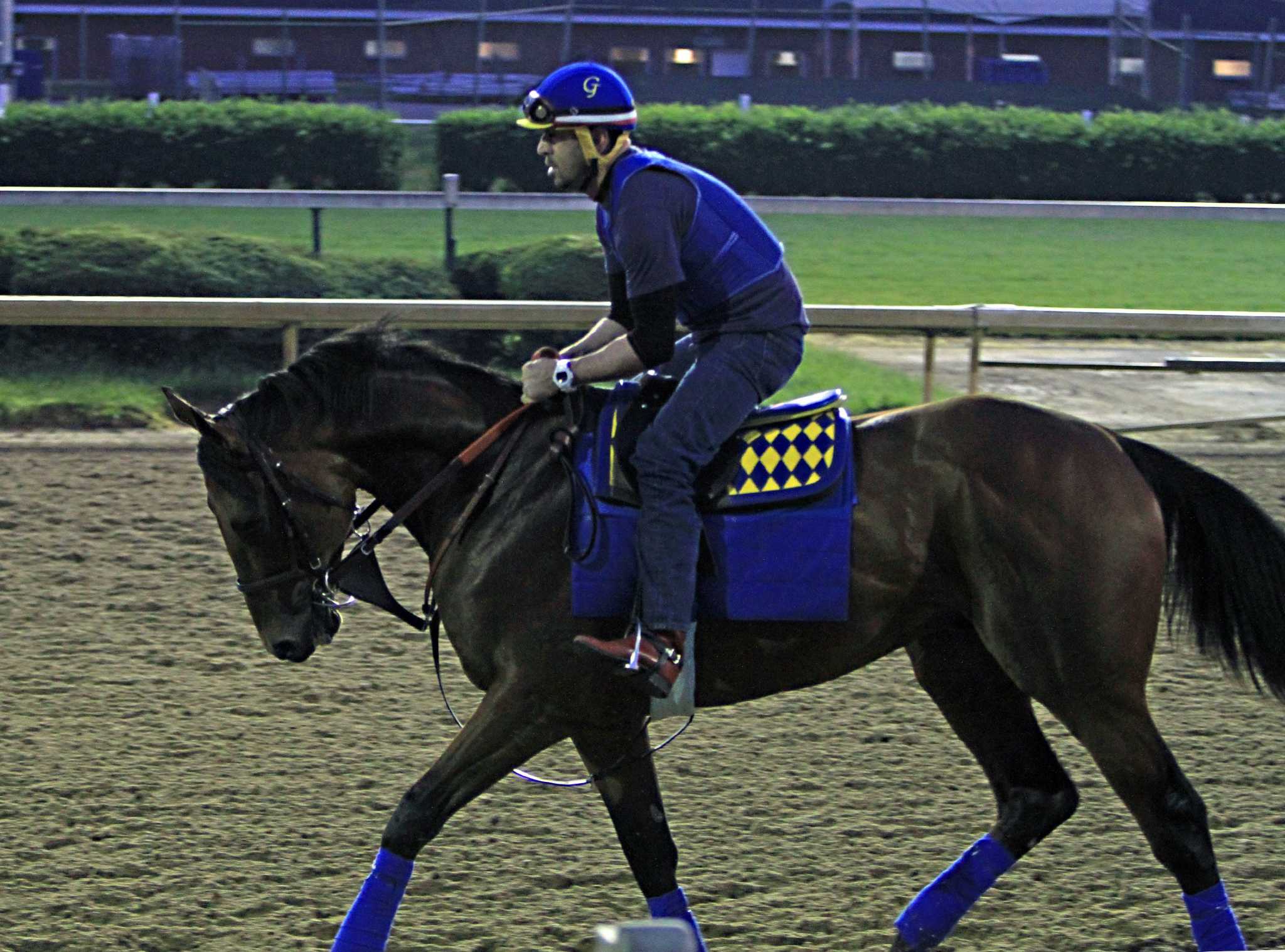 Jacksons start first Preakness Stakes runner, Divining Rod, since