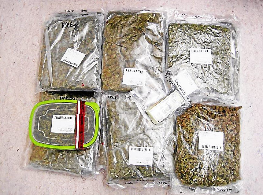 Police find 13 pounds of marijuana, charge Hamden, New Haven men