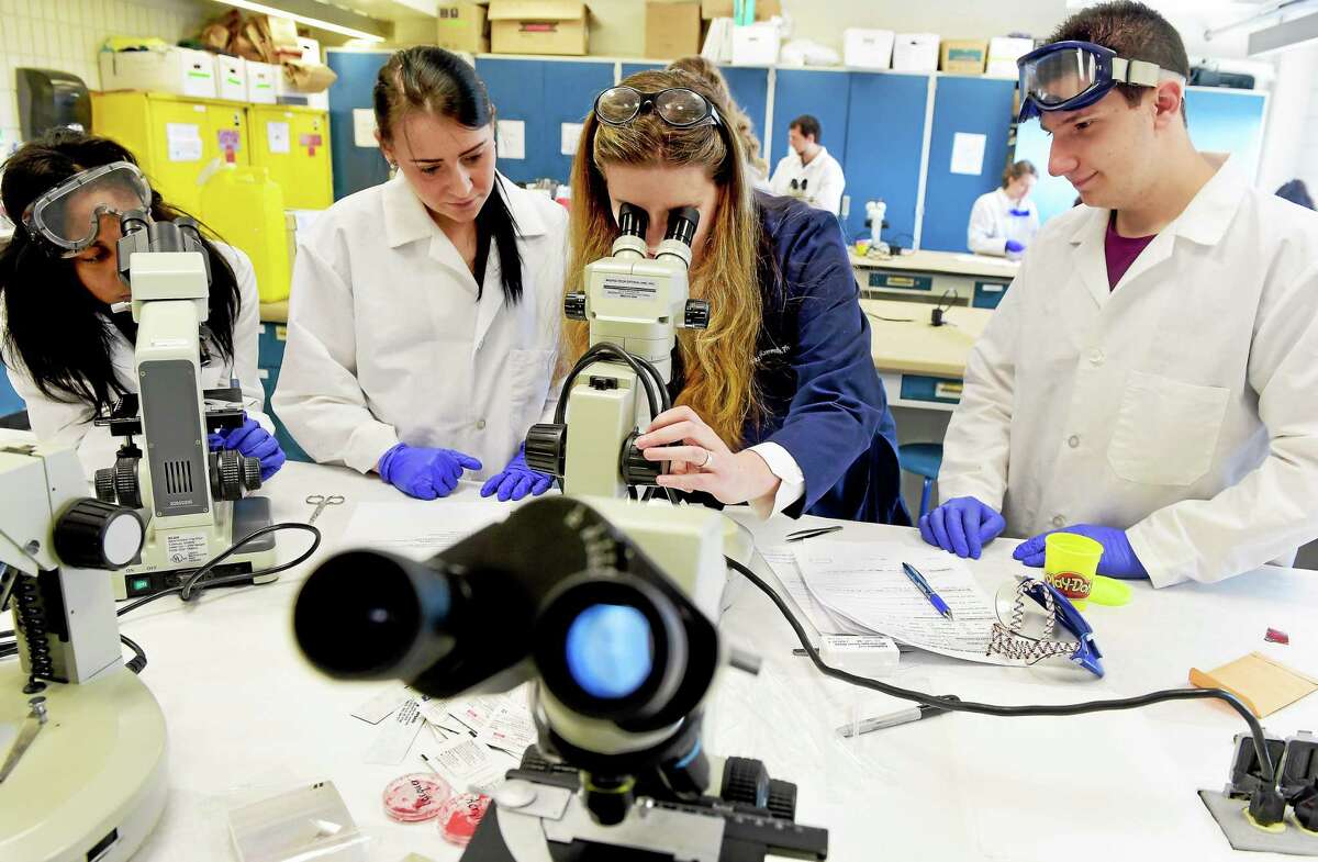 Dr. Brooke Kammrath, a professor of forensic science at the University of New Haven prepares a specimen of automotive paint for viewing under a microscope Friday, April 24, 2015 during Criminal Juistice class that studies the identification, individualization, evaluation and reconstruction of physical evidence. With Kammrath, left to right are students Taneesha Thomas of Stratford, Amina Kunovac of New Jersey, and Bryan Bennica of Northford.