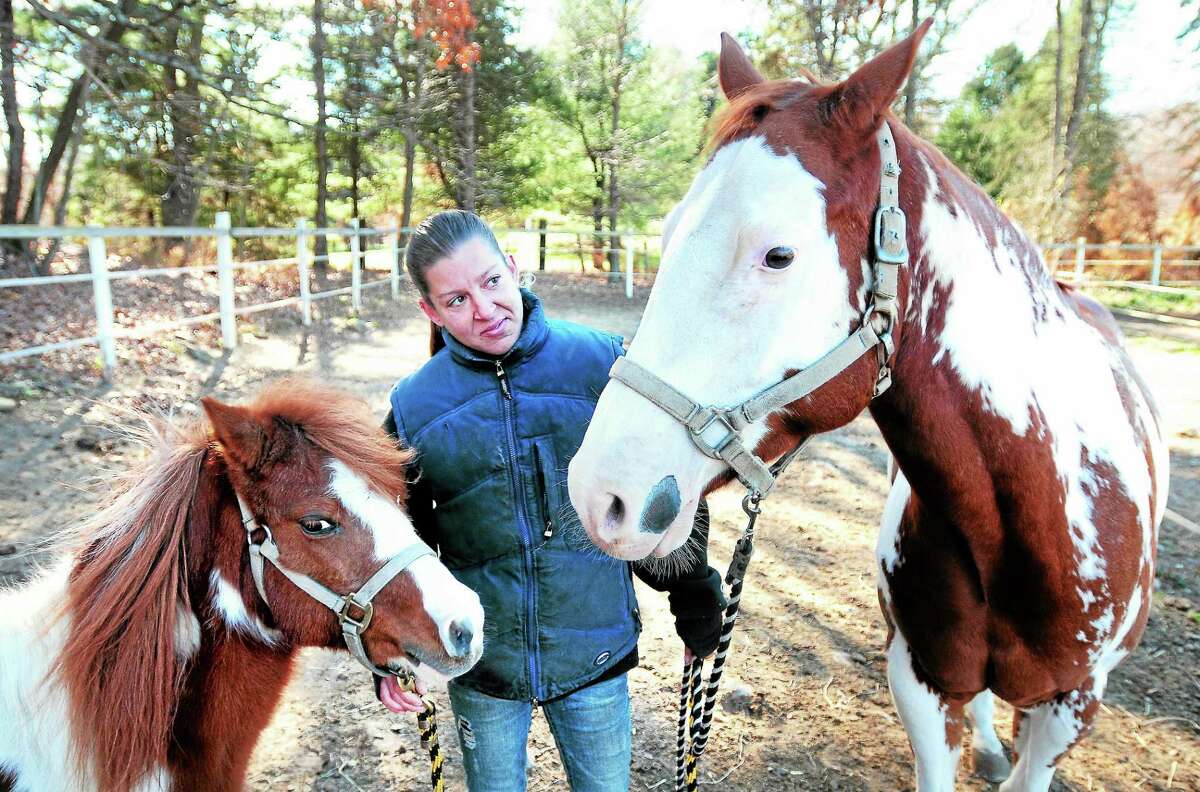 Shannon Pleines is photographed with a 14-year-old miniature pony, Sparkles, left, and Cash, right, a 6-year-old paint at Shannon Equine in Woodbridge in November 2013.