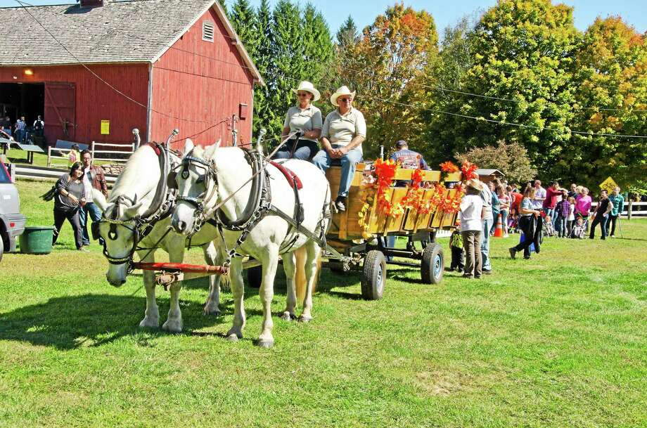 Family fun at Brooksvale Fall Festival in Hamden New Haven Register