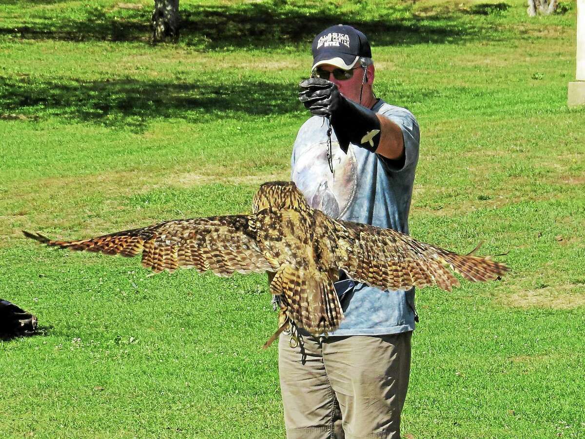 SKYHUNTERS IN FLIGHT: BIRDS OF PREY DEMONSTRATION at