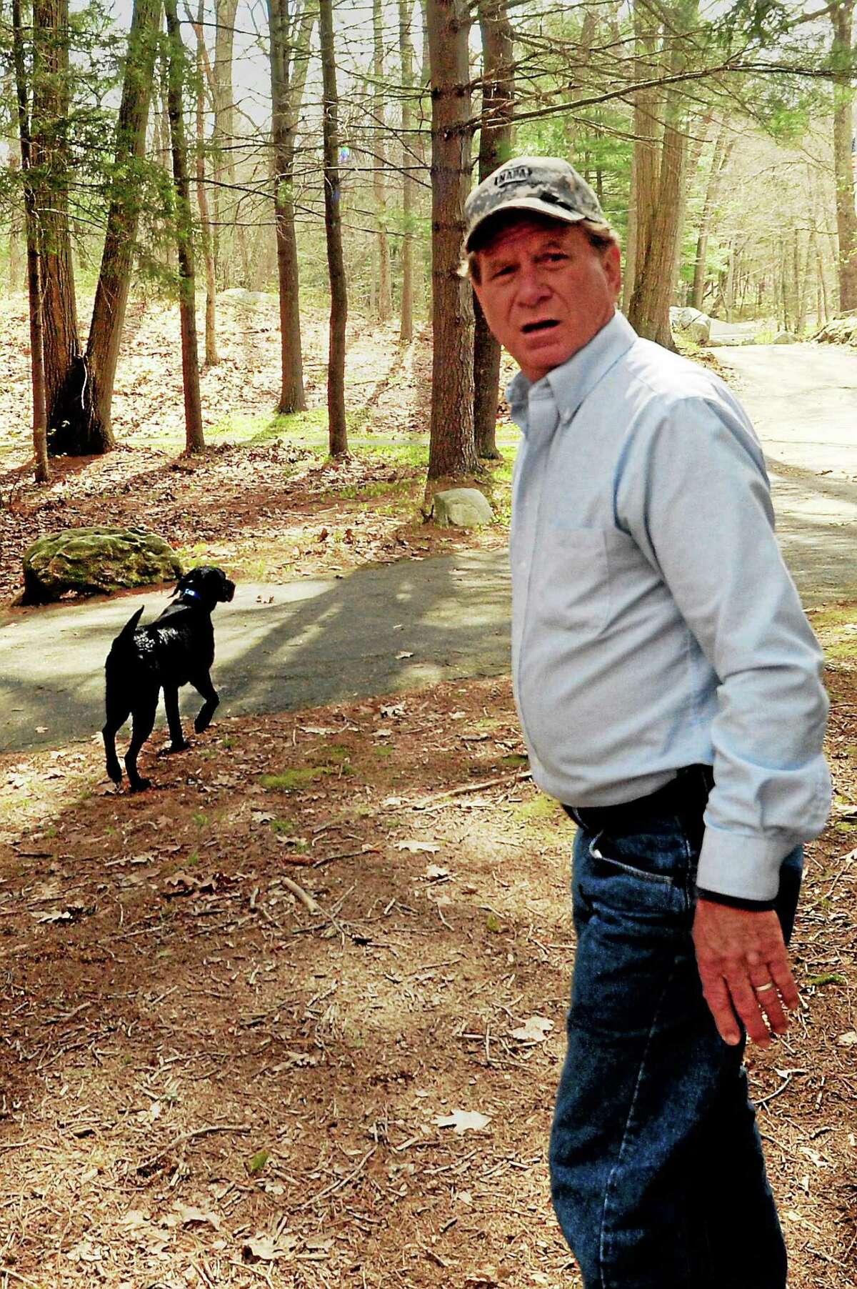 Bill Smolinski Sr., of Cheshire, searches in the Valley woods in this photo taken in May. Cadaver dog is seen in background.