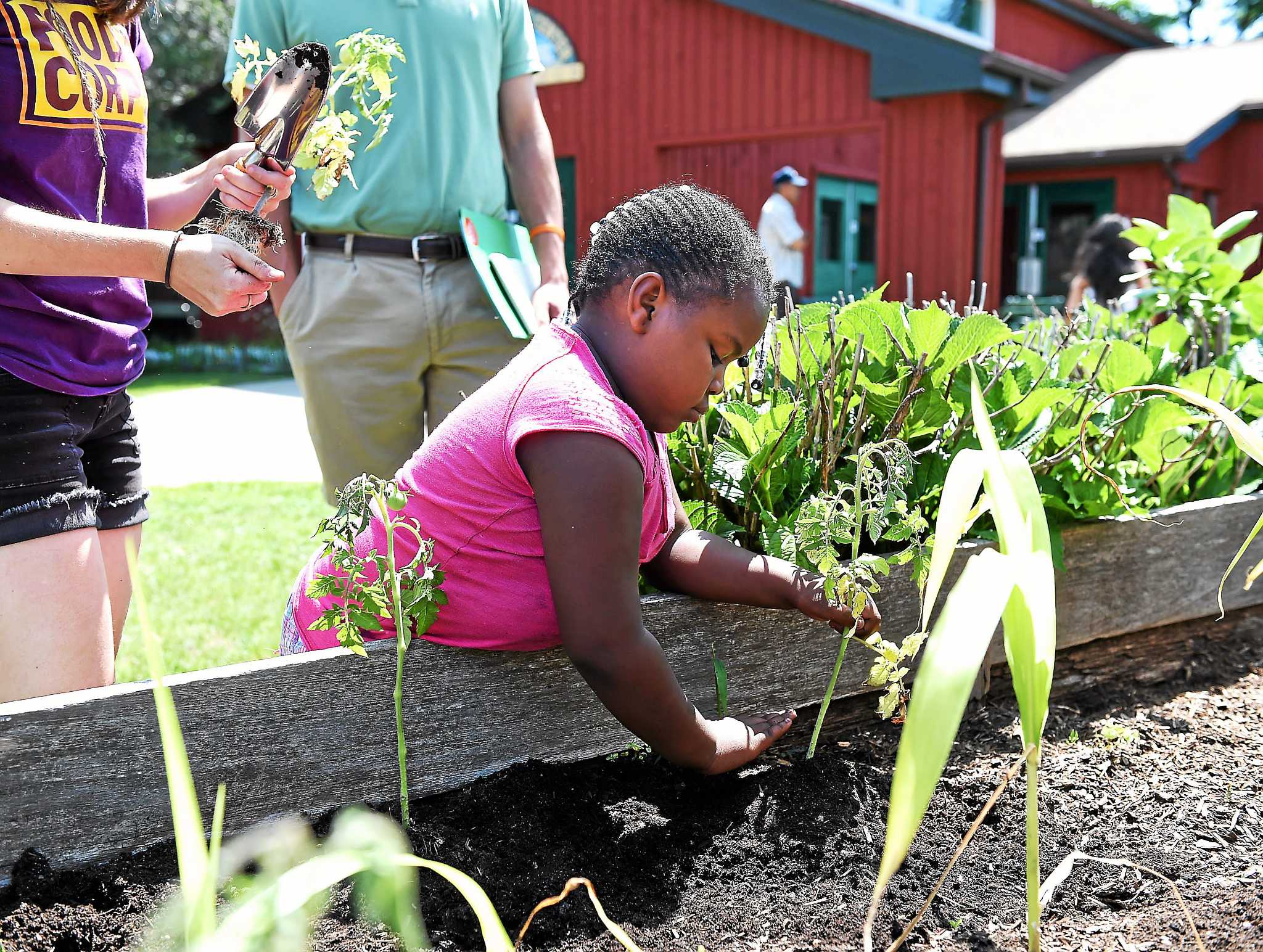 The Engine House hosts UNITOM pop-up fundraiser to support Manchester  community garden