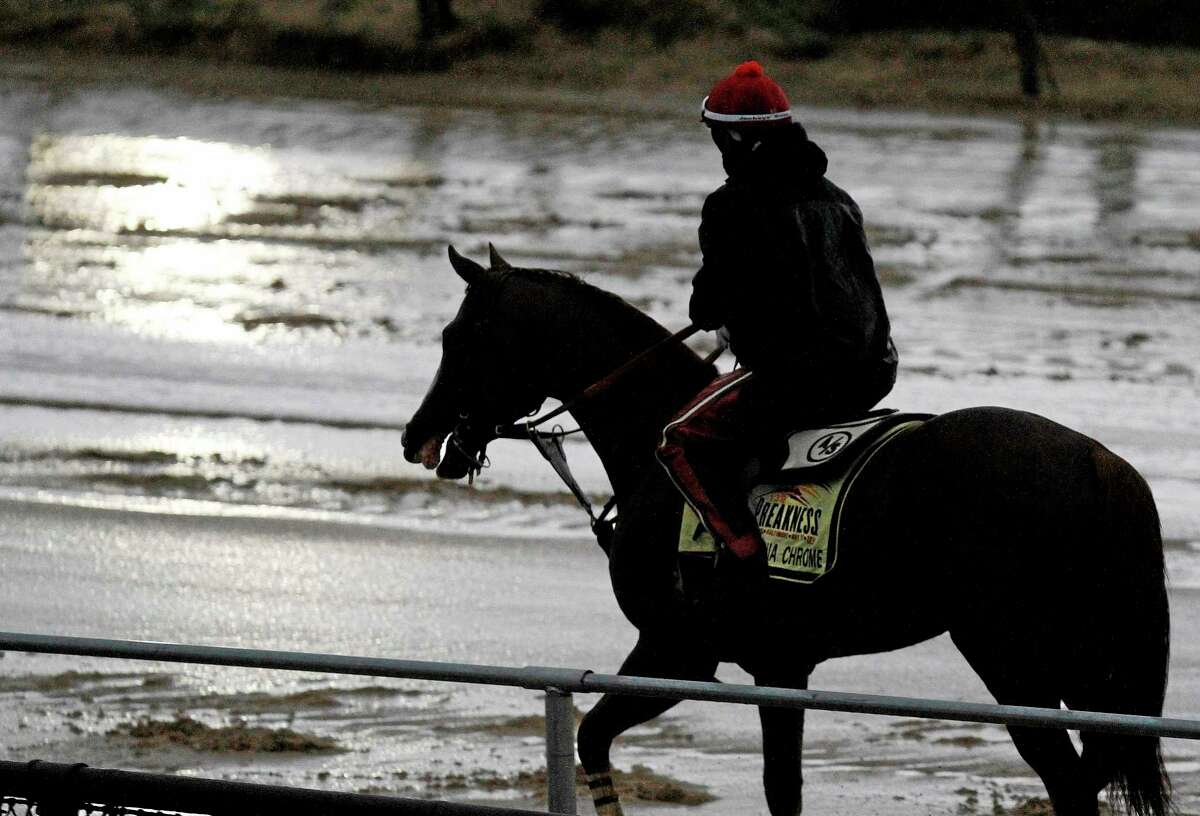 Preakness Stakes favorite California Chrome heads back to the barn after a morning workout in the rain under exercise rider Willie Delgado at Pimlico Race Course on Friday in Baltimore.