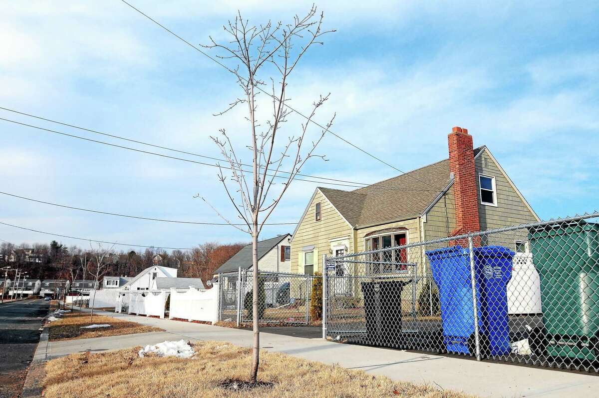 (Arnold Gold-New Haven Register) A newly planted tree on Winchester Avenue is photographed on 3/14/2014.