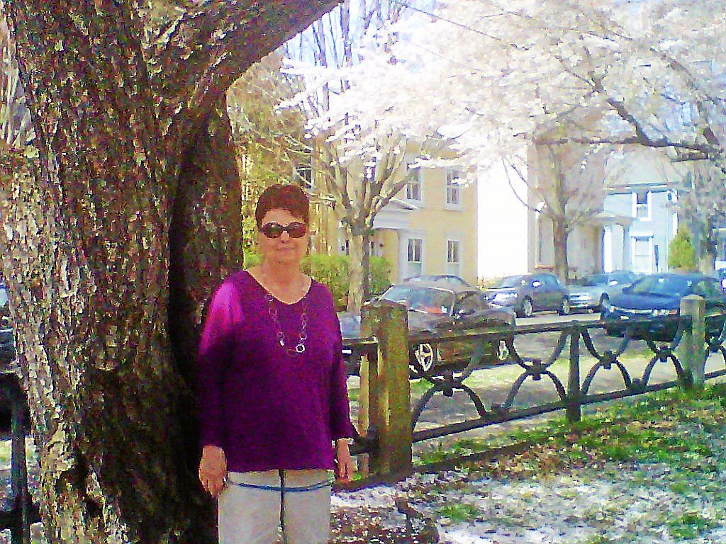 New Haven woman dies after being hit by car near her Wooster Square home