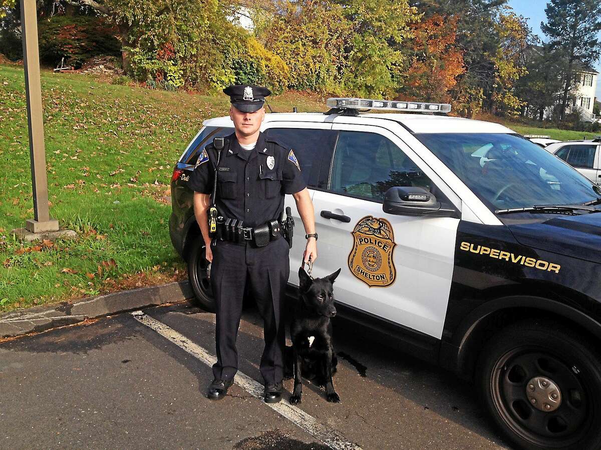 Shelton Police Officer Dan Loris and Stryker, who will begin training at the police academy in February. Stryker replaces the department’s previous K-9, Jager, who retired.