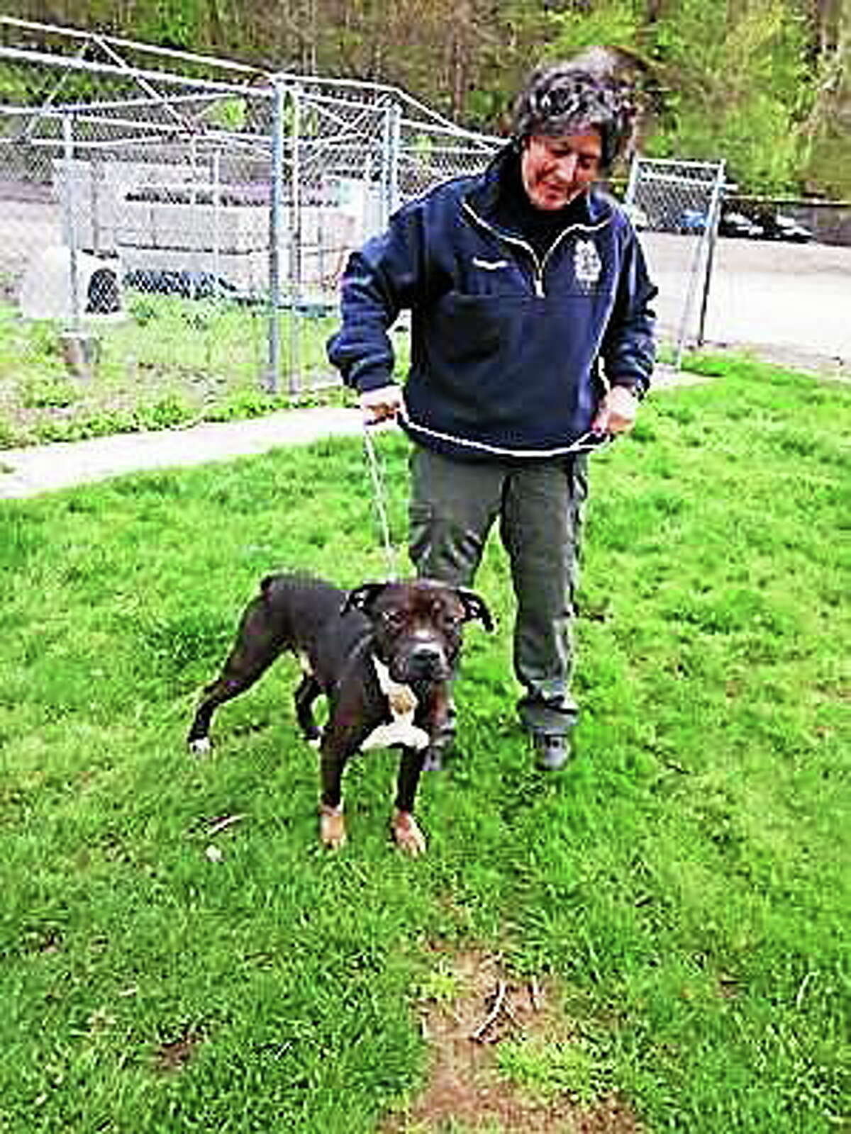Woodbridge animal control officer back on job after cruelty charge dismissed