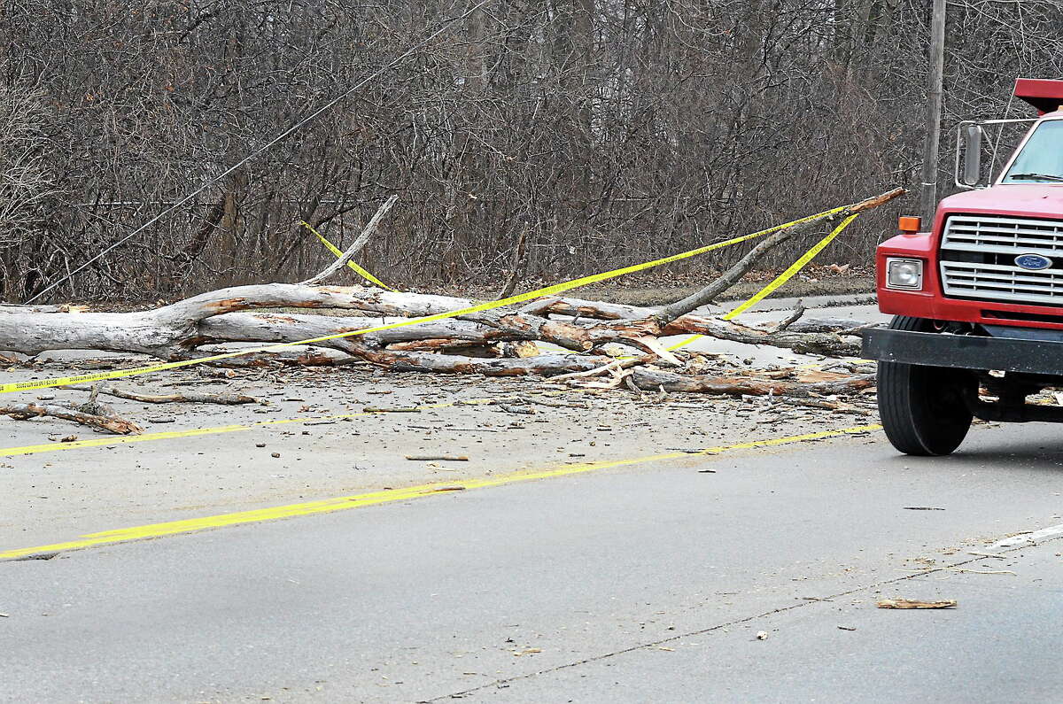 A downed treecovers the eastbound lanes of Highland Road in Waterford Township. Monday, April 14, 2014. Tim Thompson-The Oakland Press