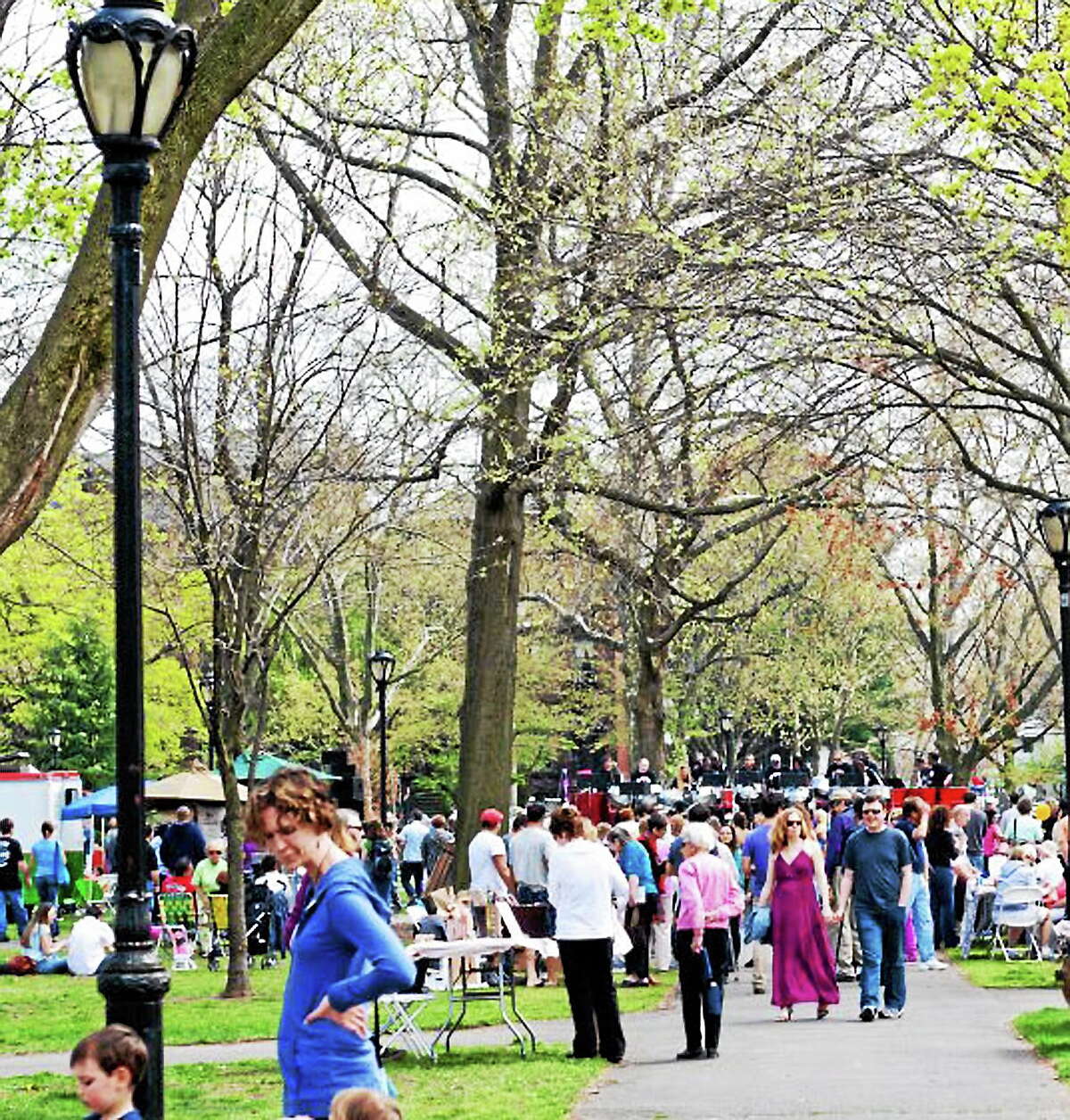 Wooster Square Cherry Blossom Festival Sunday in New Haven