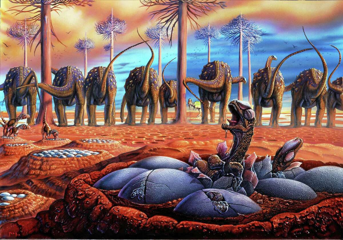 IMAGE COURTESY YALE PEABODY MUSEUM In Luis Rey’s illustration, herds of female sauropod dinosaurs called titanosaurs gathered at traditional nesting grounds some 80 million years ago in what is now Patagonia, Argentina. They laid their eggs in uniformly spaced nests made by scraping and shaping depressions in the soft mud, then covered the eggs and left them to incubate in the warm sun. Although adults may have guarded the outskirts of the nesting ground, newly hatched titanosaur young probably looked after themselves. In future breeding seasons, female titanosaurs would return again and again to this same location to lay their eggs, a behavior called site fidelity.