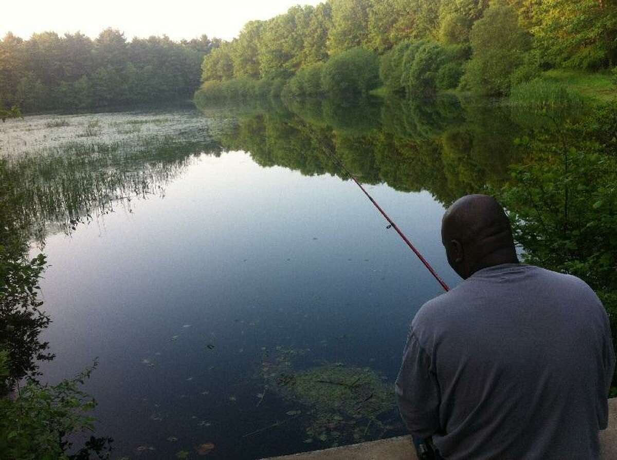 DEEP releases catfish into Connecticut lakes and ponds