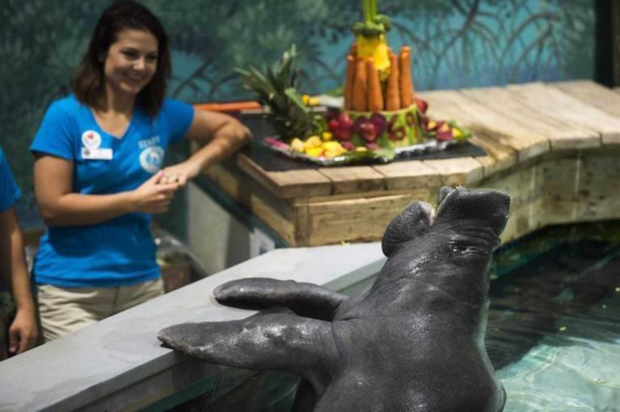 Rest in peace, Snooty the manatee