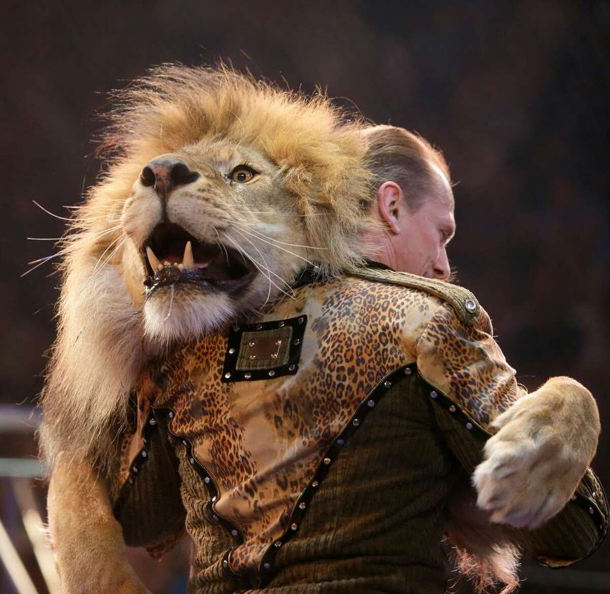 Oleksiy Pinko, a circus artist, dances with a lion during presentation of the new program in Ukraine's National Circus in Kiev, Ukraine, Wednesday, May 15, 2013. (AP Photo/Efrem Lukatsky)