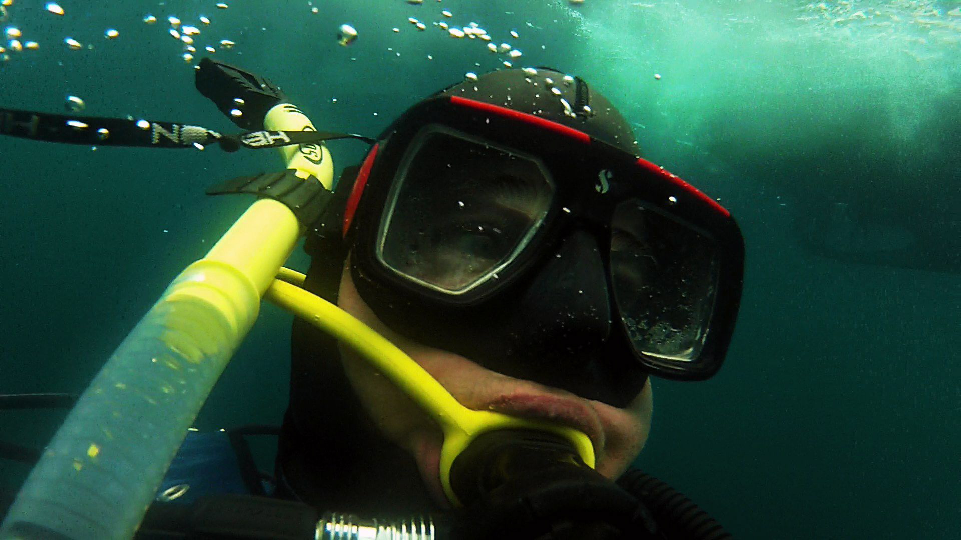 Madison filmmaker shatters shark myths