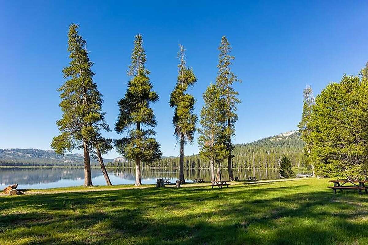 The shoreline meadow and picnic sites at Webber Lake, which will be opened to the public for camping starting August 1 after being off-limits for the past century