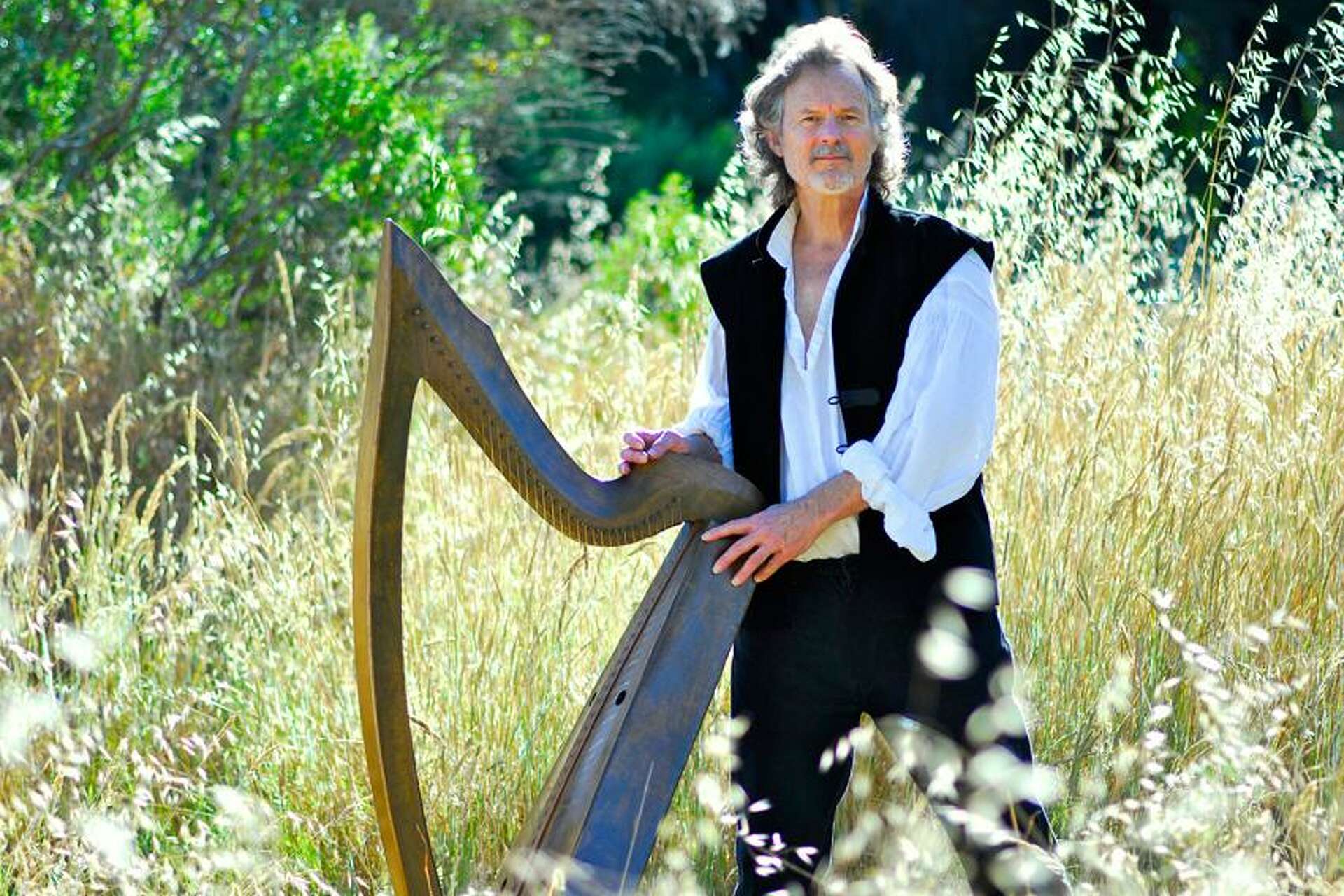 Folk harp society top