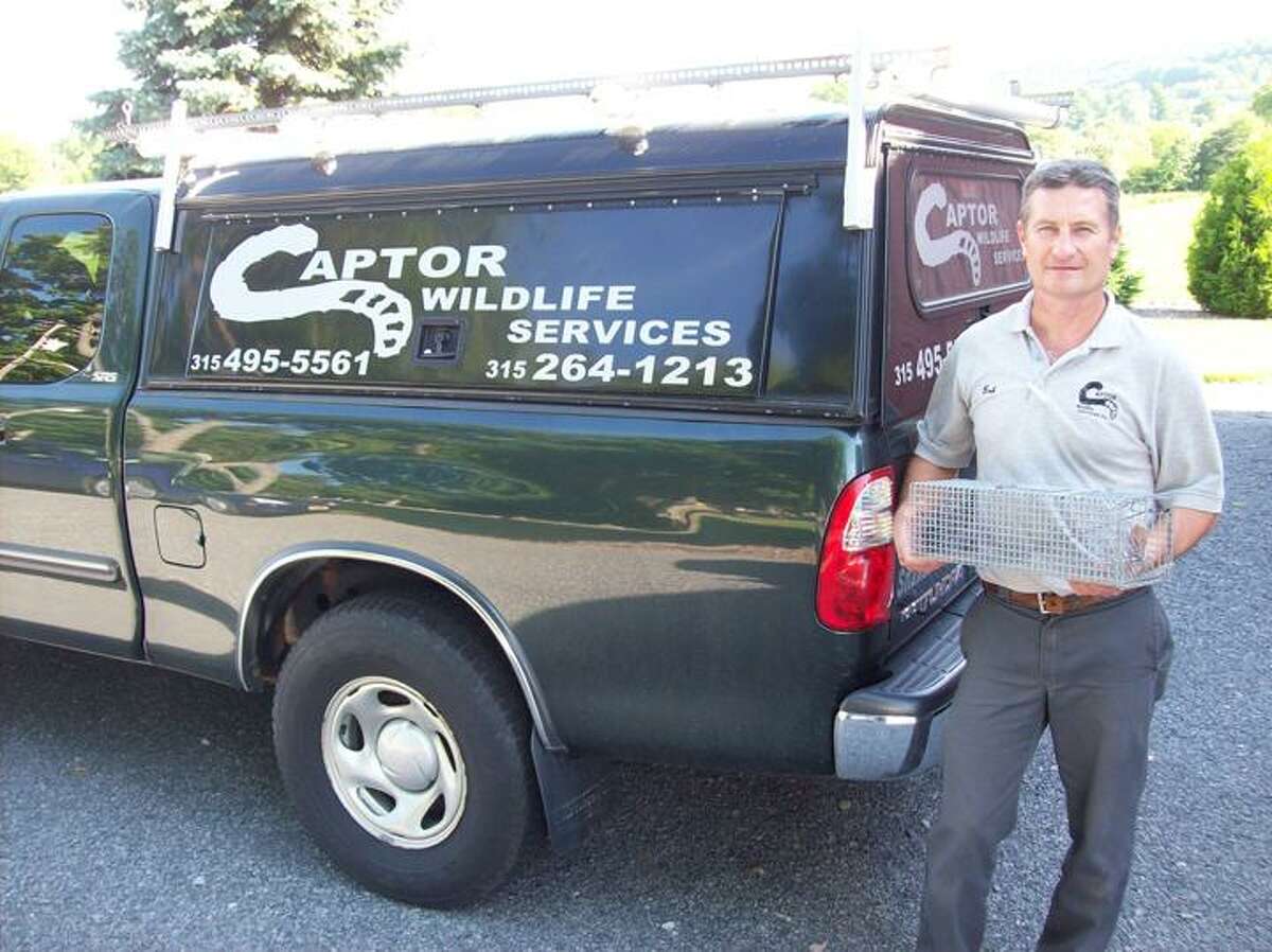 Photo by Mike Jaquays Bob Meakin of the Munnsville-based Captor Wildlife Services has been professionally solving area residents' problems with unwanted pests for more than 20 years, and some of his adventures have been quite unusual. Call him at 495-5561 or log on to www.captorwildlife.com to learn more about his offerings.
