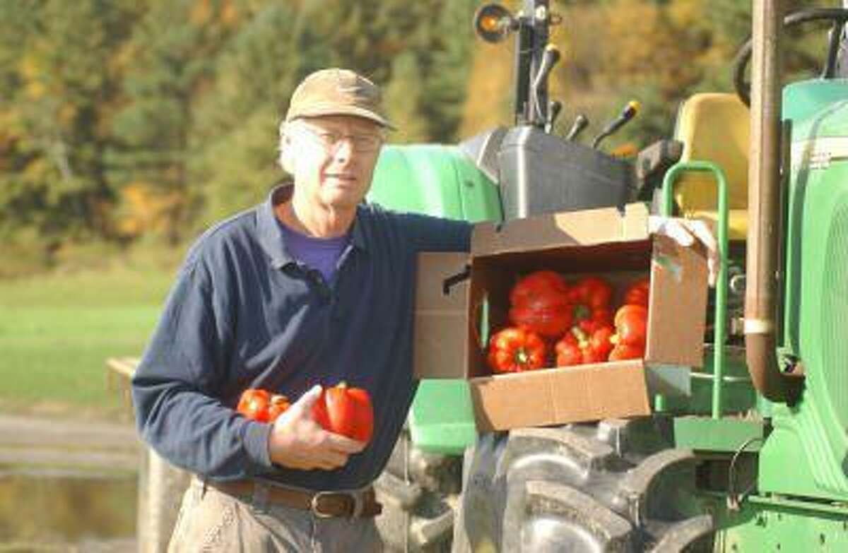 Paul Harlow holds some red peppers at his Westminster farm, Saturday.