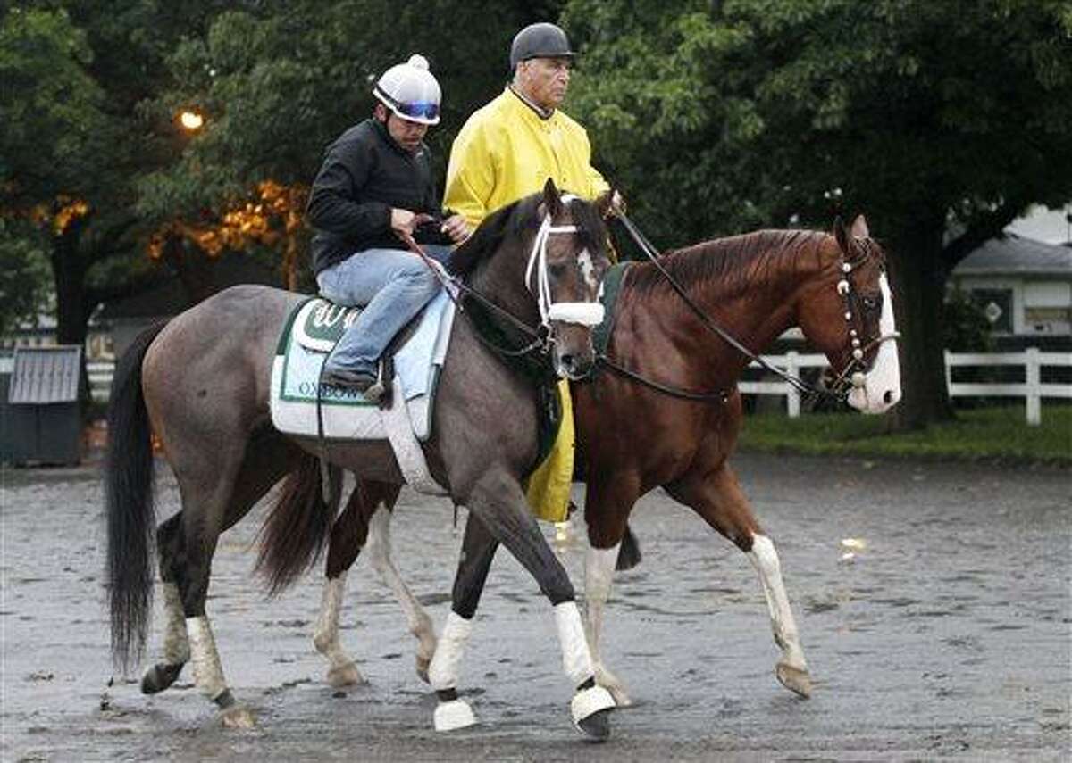 Preakness Stakes winner Shackleford ends Animal Kingdom's bid for