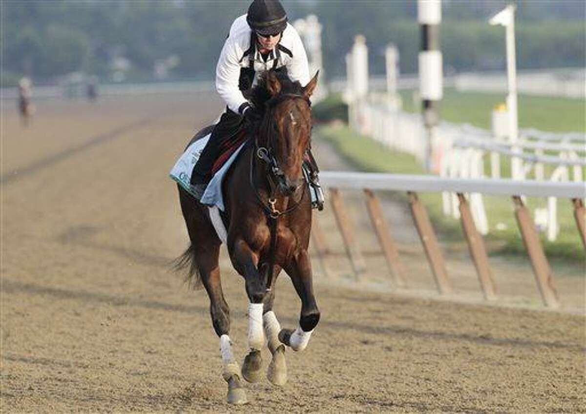 Kentucky Derby winner Orb gallops on the track at Belmont Park, with exercise rider Jennifer Patterson up, during a morning workout Thursday, June 6, 2013 in Elmont, N.Y. Orb is entered in Saturday's Belmont Stakes horse race. (AP Photo/Mark Lennihan)