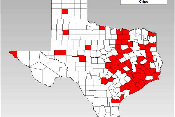 DPS gang assessment includes Tango Blast, MS-13 as top threats ...