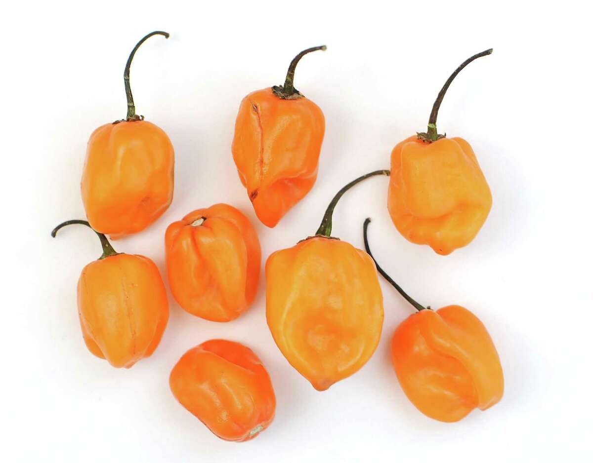 Habanero chiles are among the hottest commonly available varieties and have an unmistakable aroma.