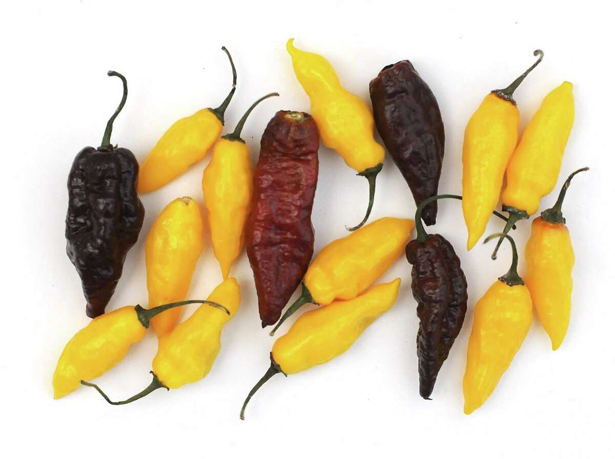 Beyond salsa How to use summer’s peppers in new ways