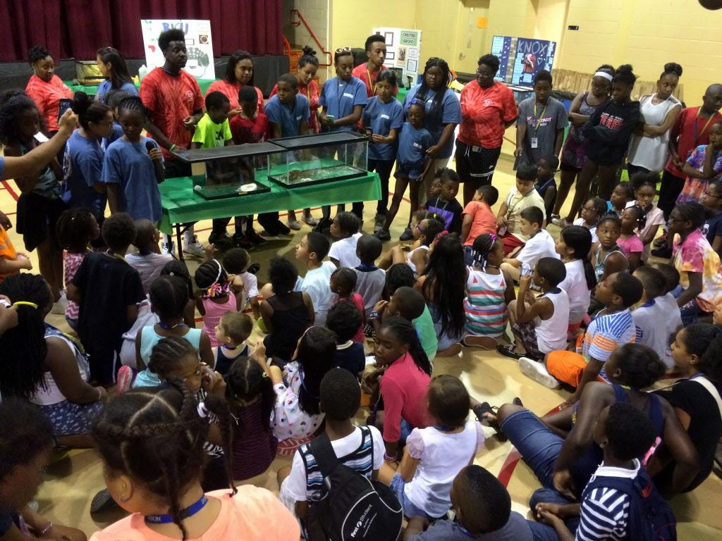 Reptile expo for kids Saturday at Chester Addison
