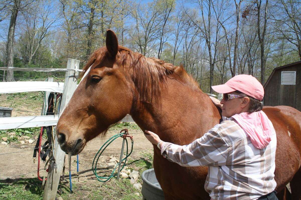 Submitted photo Darlene Lockwood, a volunteer at H.O.R.S.E. in Washington, spends some quality time with Sweet Pea, one of the sanctuary's rescued horses.