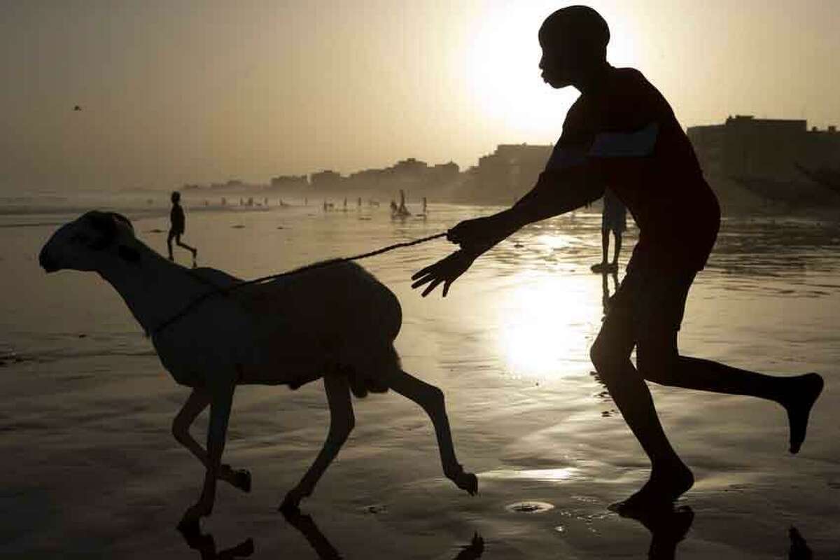 A boy chases a ram into the Atlantic Ocean as residents wash their sheep before sacrifice, in preparation for the Eid al-Adha feast in Dakar, Senegal, Friday, Oct. 26, 2012. The Eid al-Adha festival, known locally as Tabaski, celebrates Abraham's willingness to sacrifice his son. (AP Photo/Rebecca Blackwell)