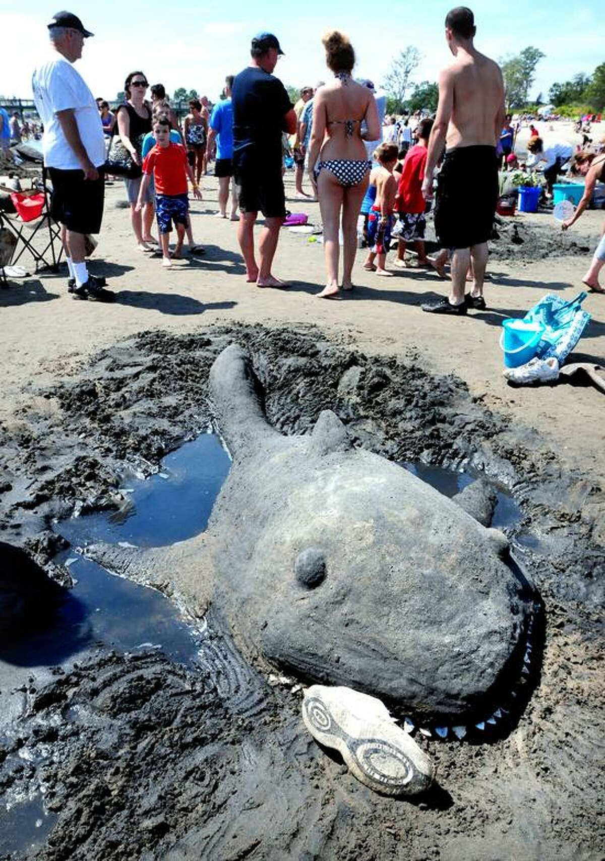 One of several sharks created at the Great American Sand Sculpture Competition in Milford awaits judging on 8/25/2012.Photo by Arnold Gold/New Haven Register