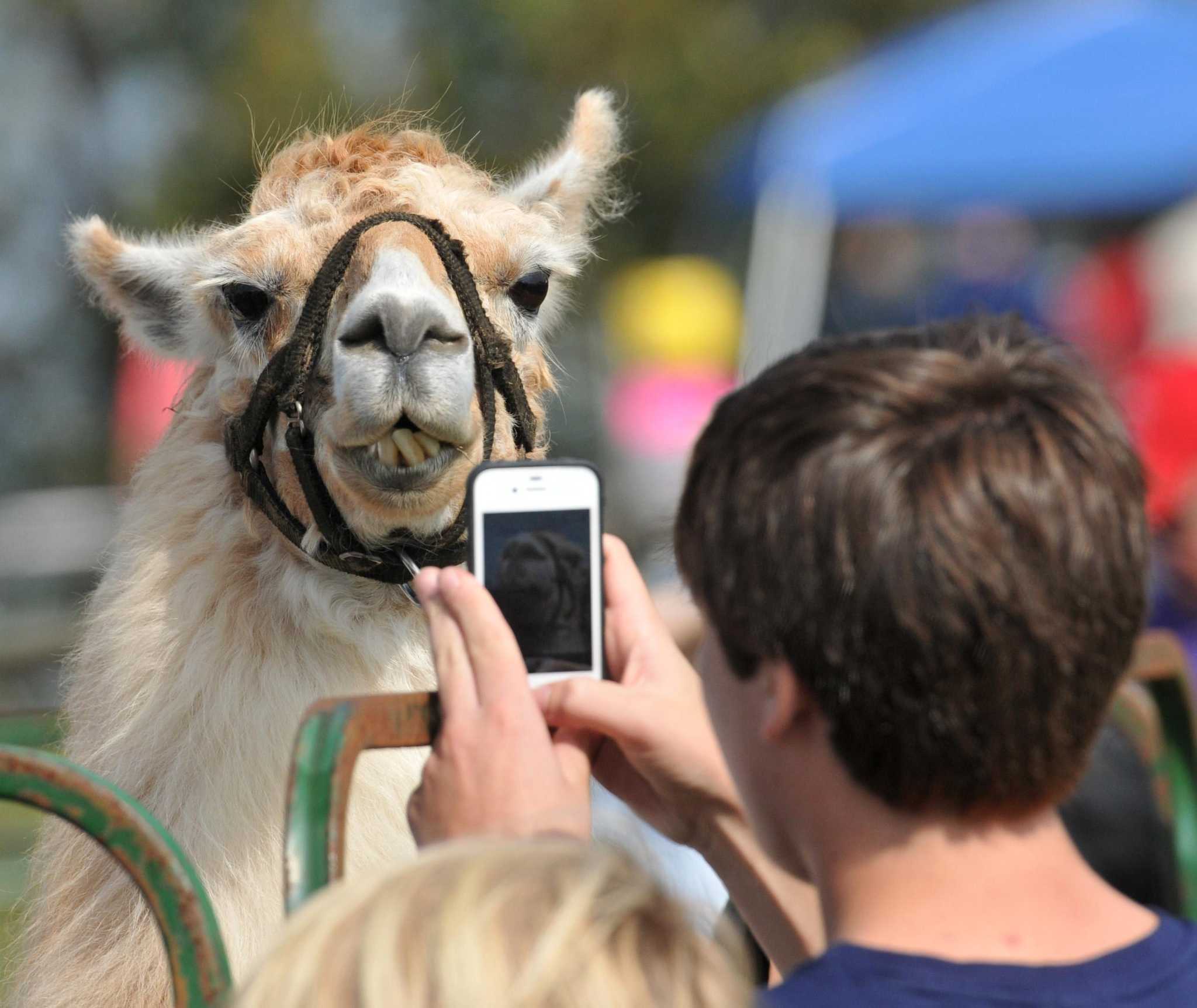Hammonasset Jamboree brings Native American traditions to Madison