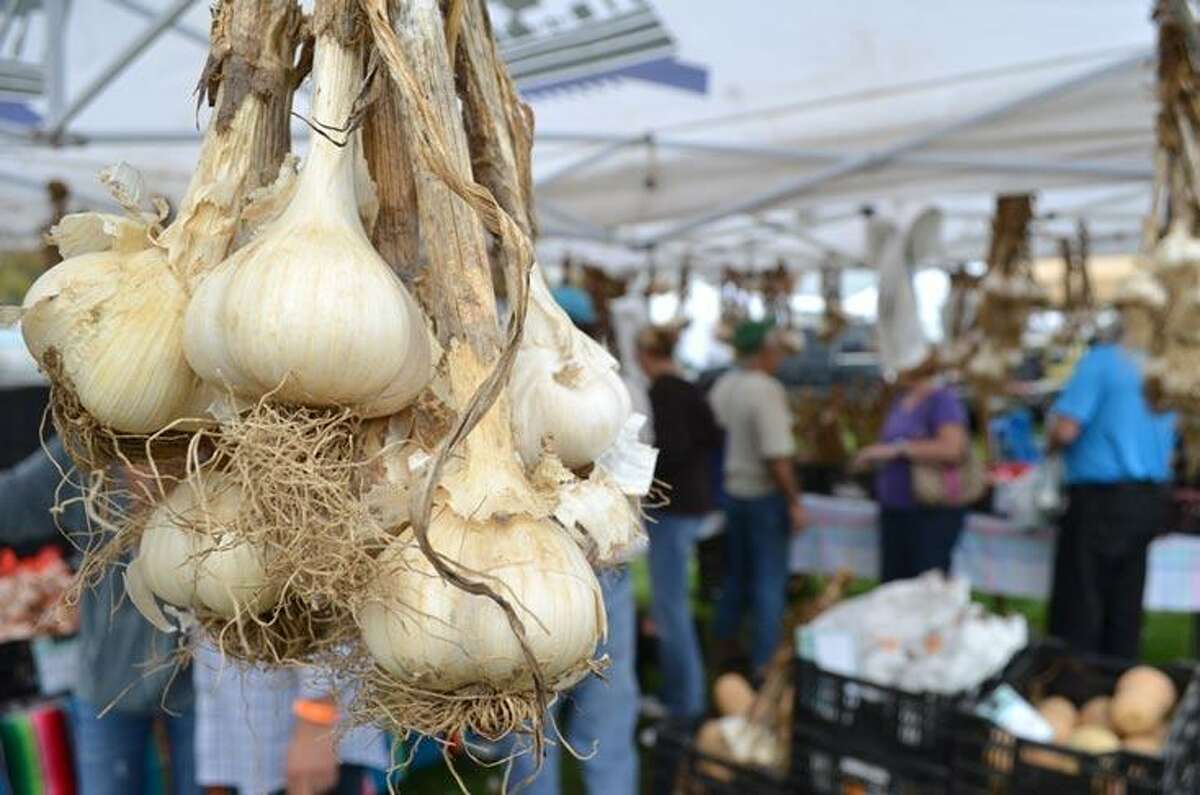 Bethlehem Fairgrounds hosts crowds at annual Garlic Festival (with video)