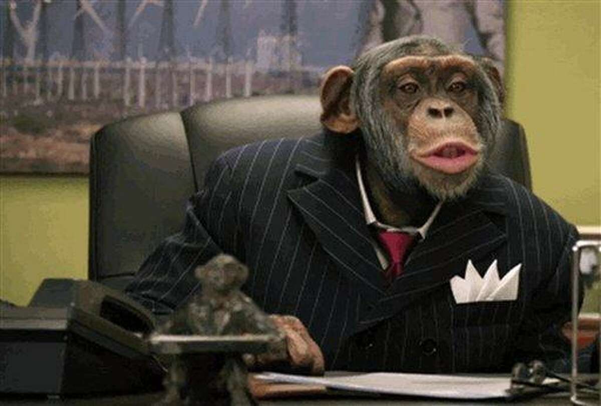 This video grab provided by CareerBuilders.com, shows the executive chimpanzee advertisement that will air during Super Bowl XLVI Sunday, Feb. 5, 2012. Chicago's Lincoln Park Zoo says there's nothing funny about a commercial featuring suit-and-tie wearing chimpanzees scheduled to air Sunday during the Super Bowl. Dr. Steven Ross of the zoo says CareerBuilder.com's commercial that shows the chimps outsmarting a human co-worker actually poses a risk to chimpanzees because people lose sight of the fact they're an endangered species and less likely to try to save them. (AP Photo/CareerBuilders.com)