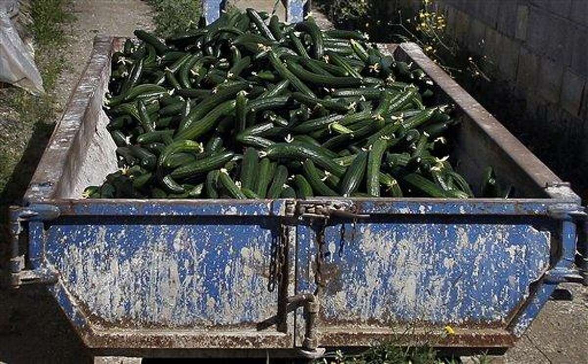 Cucumbers are seen after being discarded in a container outside of a greenhouse in Algarrobo, near Malaga, southern Spain, on Tuesday, May 31, 2011. Angry Spanish farmers whose produce has been cited as a possible source of the deadly bacterial infection in Europe are watching in despair as machines grind their suddenly unwanted fruit and vegetables into compost and are particularly livid with Germany. Spanish agriculture associations accuse German officials of being trigger-happy in singling out two Spanish farm produce companies as sources of cucumbers tainted with E. coli before ascertaining if the vegetables were contaminated before leaving Spain or along the transport chain or while being handled in Germany itself. (AP Photo/Sergio Torres)