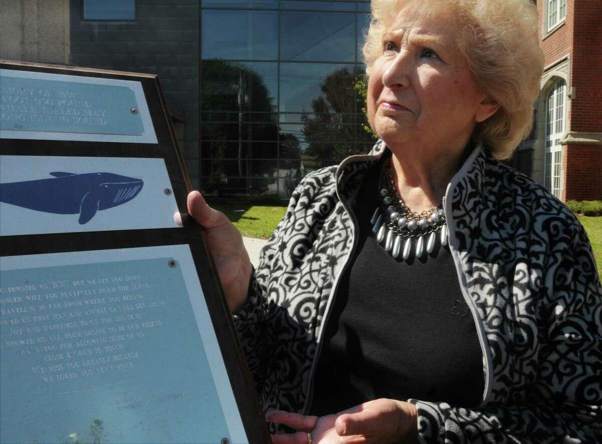 Rosemarie Bounocore holds a plaque that she and her second-grade students at Nathen Hale School made 25 years ago to honor a beluga whale that wondered Long Island Sound and charmed beachgoers until she was killed. Melanie Stengel/Register