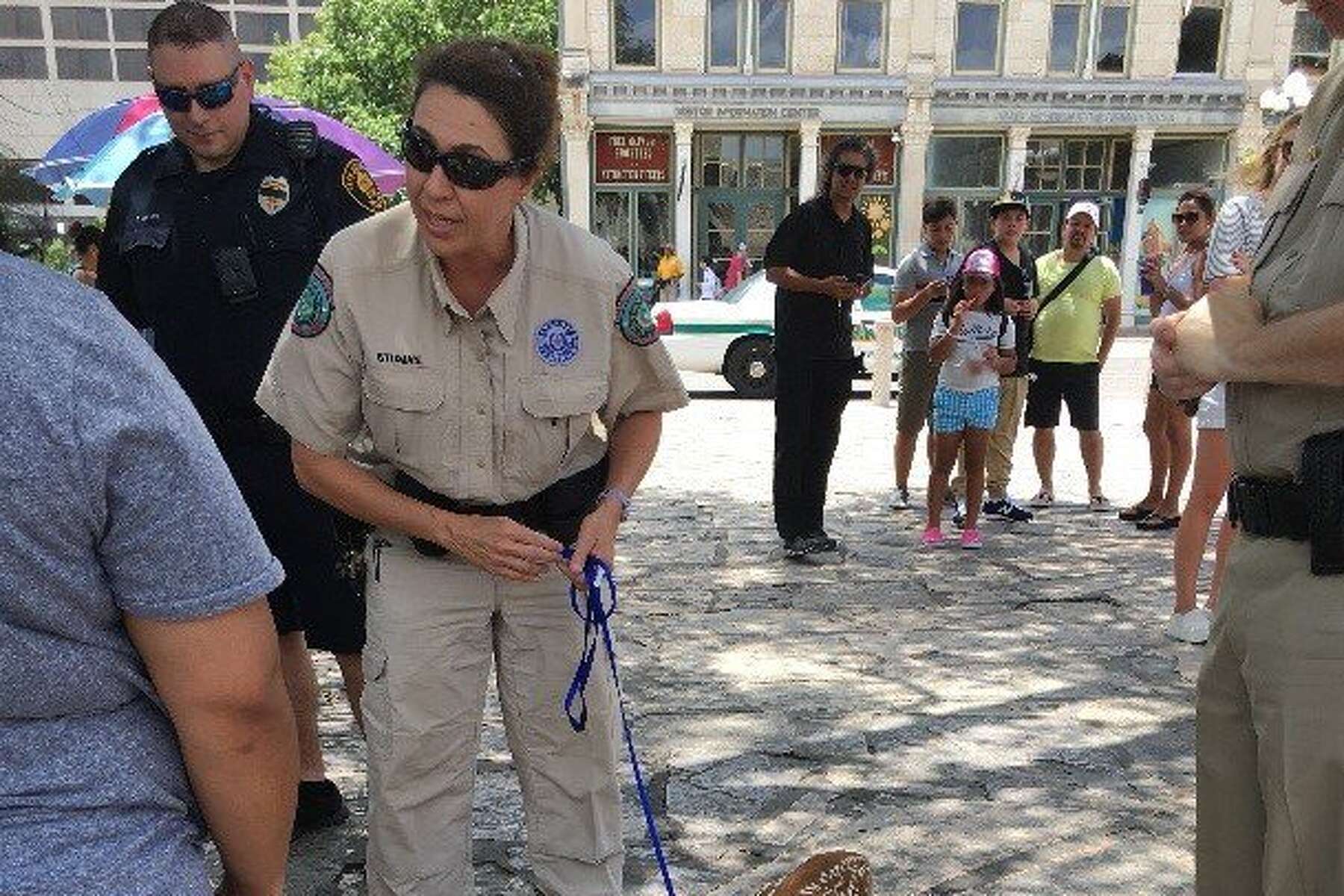 Woman 'too fond of the fawn' caught walking a baby deer on a leash at the  Alamo