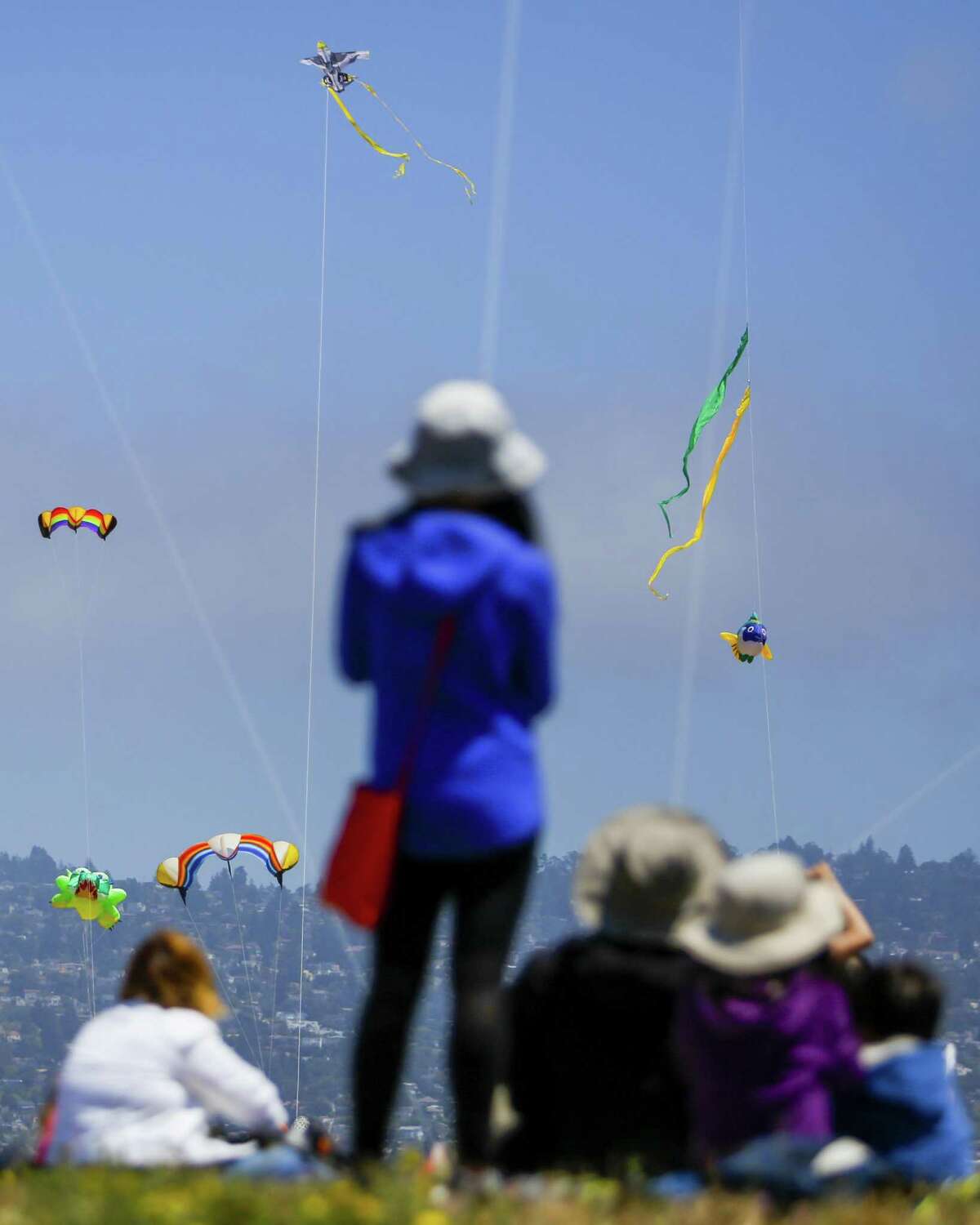 Berkeley’s Kite Festival a chance to enjoy the outdoors