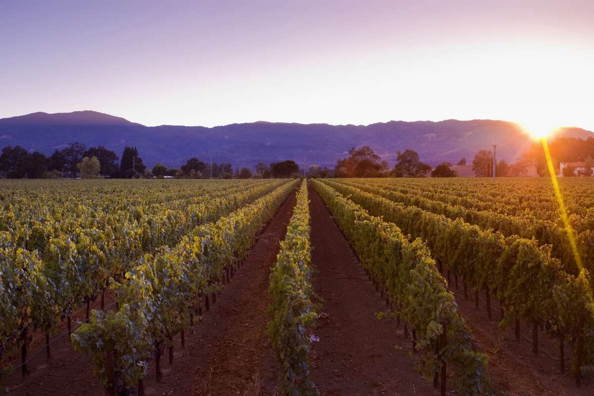 County seat: Napa The California wine capital's origin story is little murky. The word