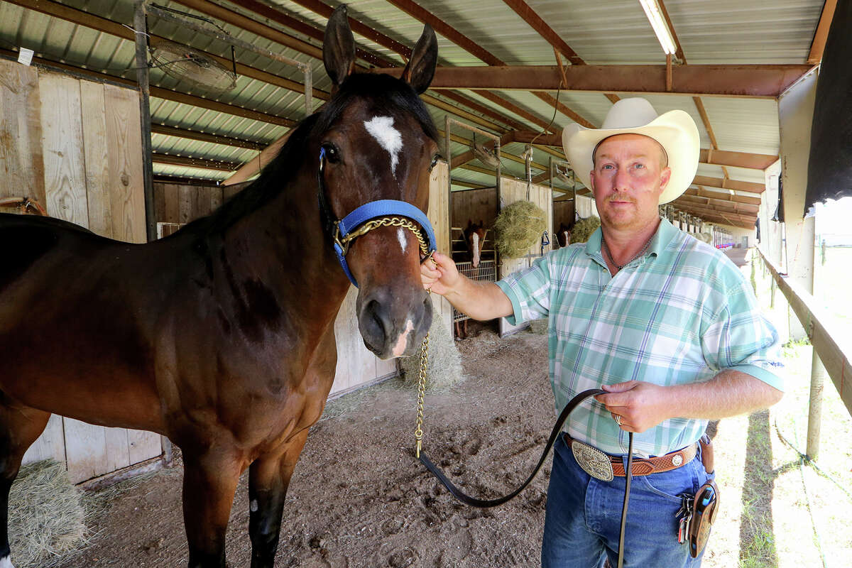 Trainer Brian Stroud with his top horse, JRC Callas First, at Retama Park on Wednesday, June 3, 2015. JRC Callas First, who Stroud co-owns with his wife Dana, was was named the 2014 AQHA World Champion Racing Champion. MARVIN PFEIFFER/ mpfeiffer@express-news.net