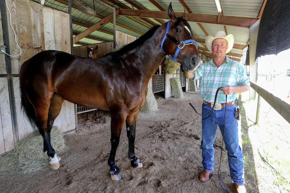 Three horse racing trainers suspended, face hearing on drug violations