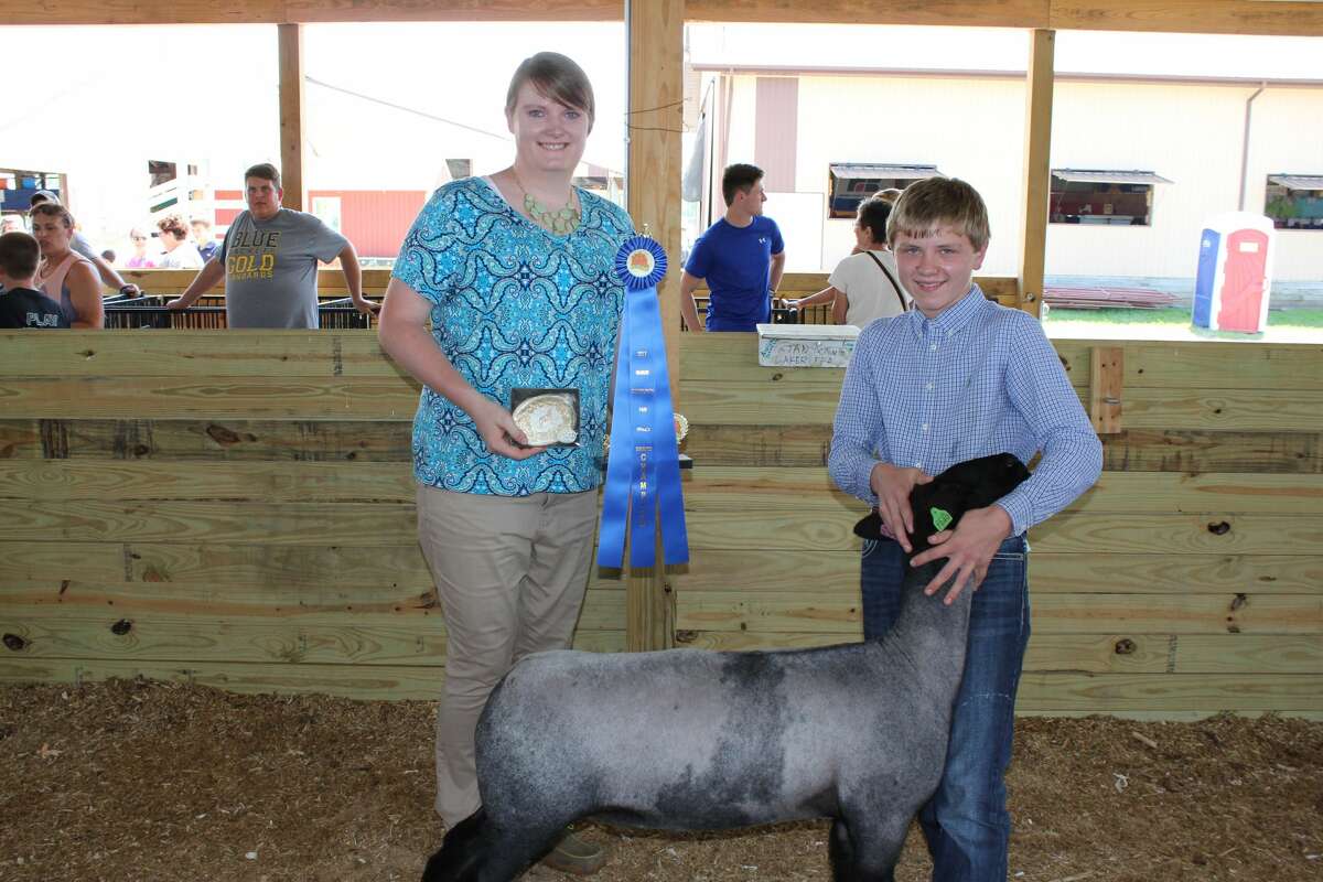Monday's daytime action at the Huron Community Fair included horse and sheep shows.