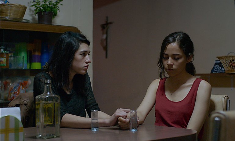 Erotic Mexican Thriller The Untamed A Hodgepodge Of Good Ideas