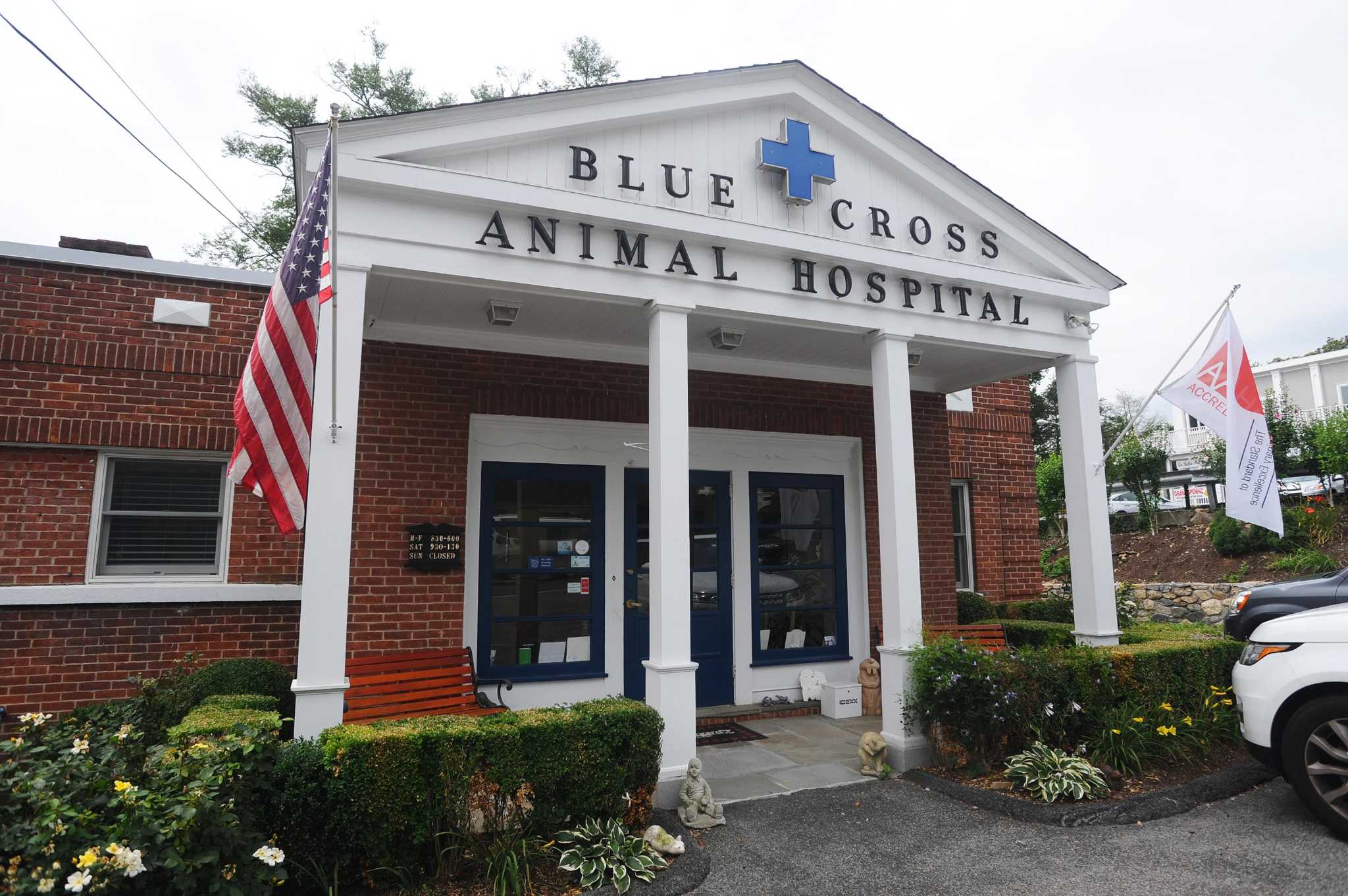 Vca blue cross animal 2024 hospital