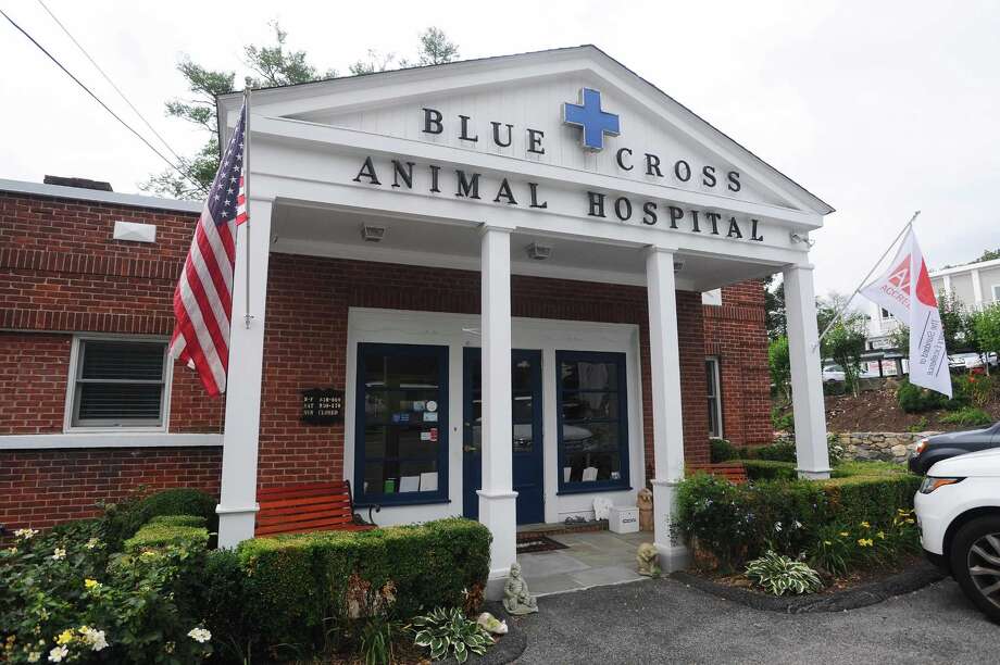 Greenwich vet earns AAHA accreditation Fairfield Citizen