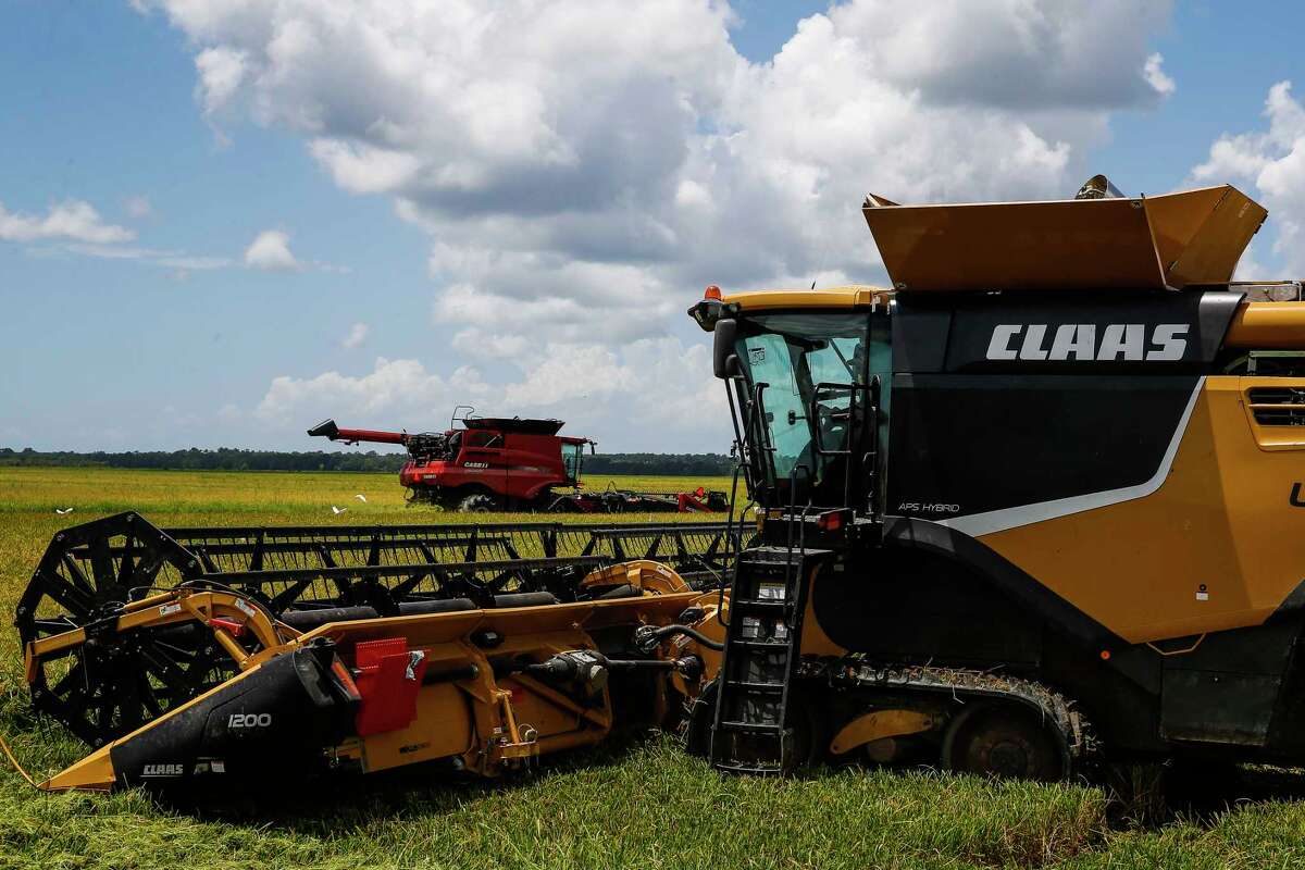 Texas rice farmers hope China deal brings more than a grain of relief