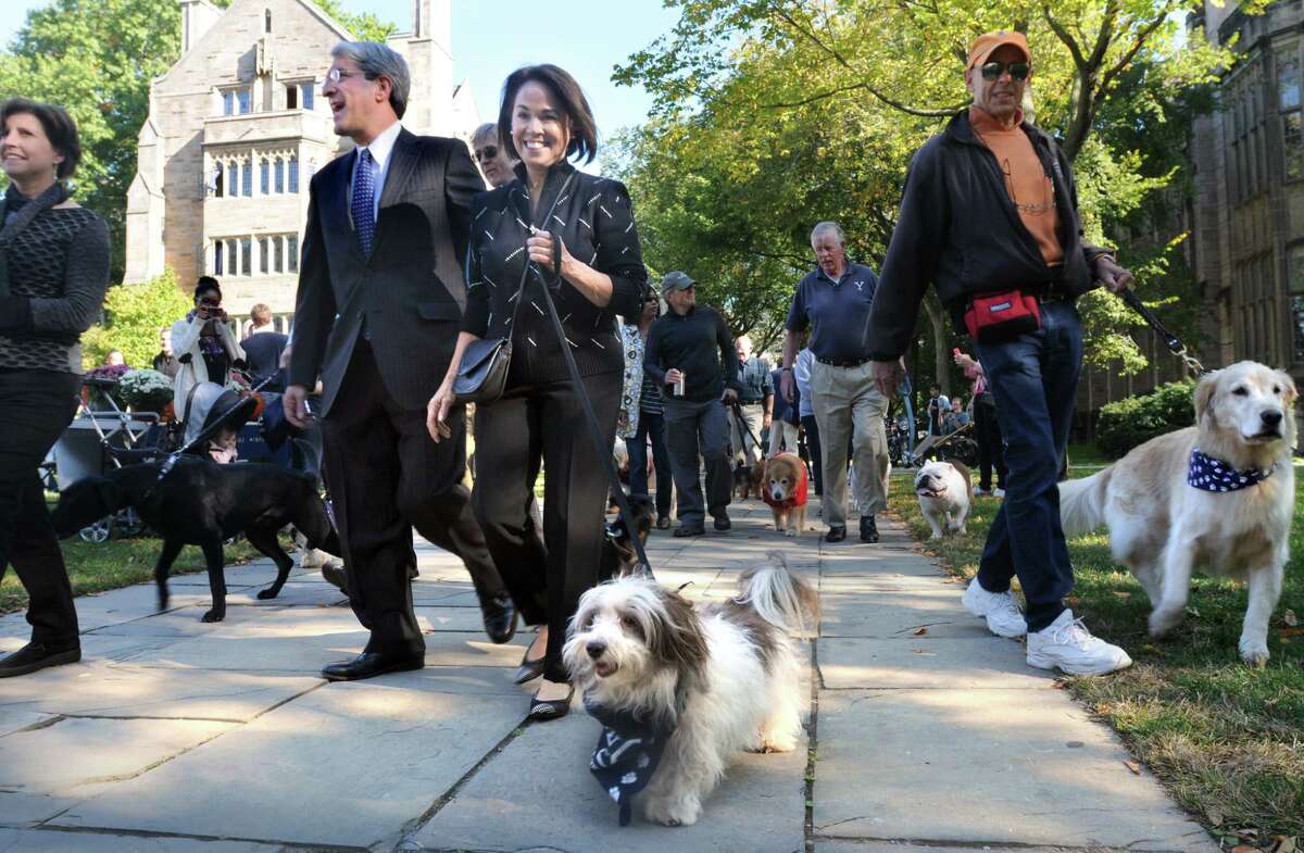 (Mara Lavitt ?‘ New Haven Register) October 12, 2013 New Haven Yale University held a campus-wide open house in celebration of Peter Salovey's inauguration on Sunday as the 23rd president of Yale. The celebration started with a Canine Kickoff, inviting all campus dogs to attend. A procession around Cross Campus included Salovey, his wife Marta Moret, and the First Dog, Portia.