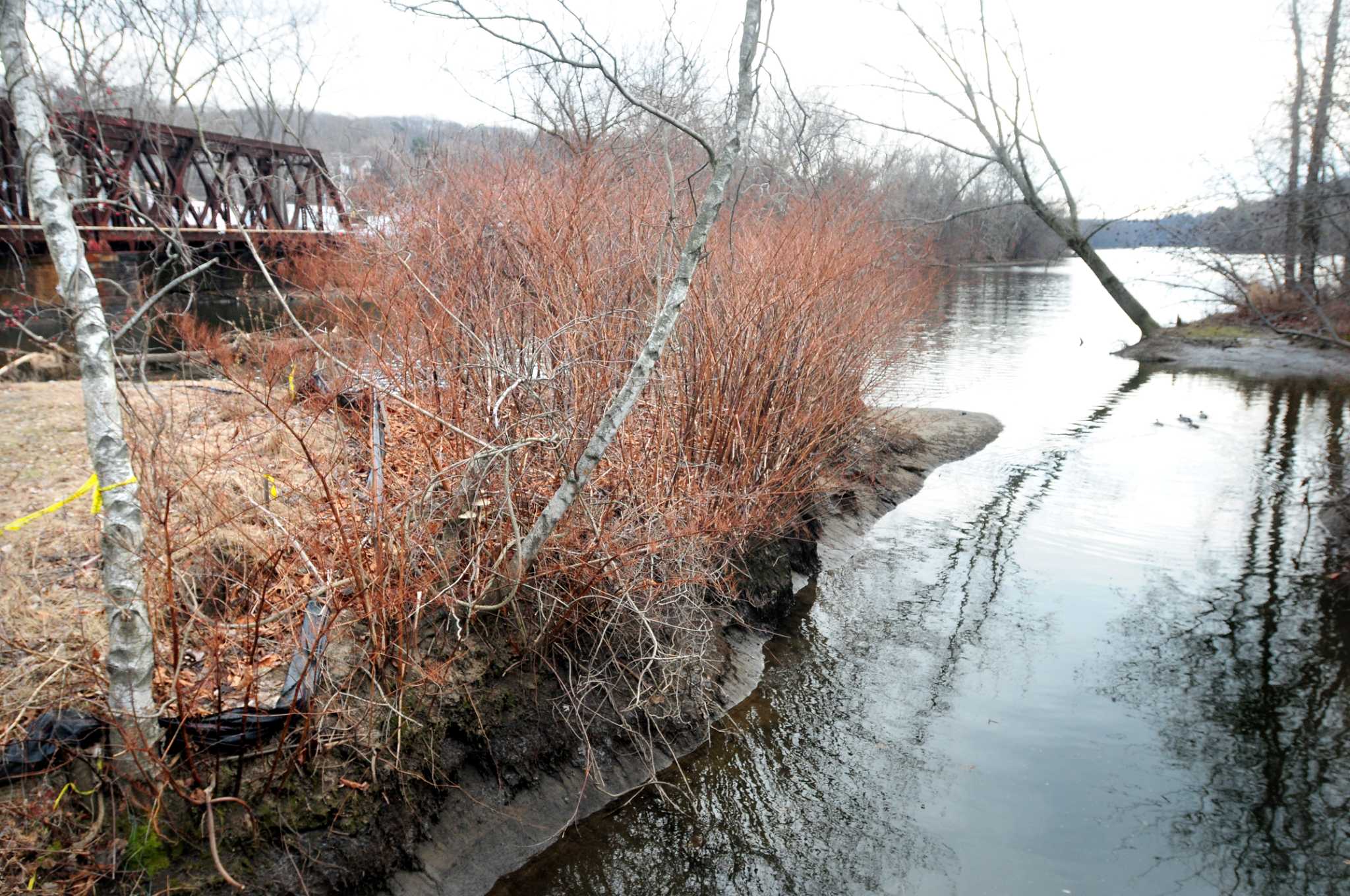 Photos: O'Sullivan's Island Recreation Park Closed in Derby